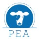 PEA
