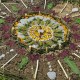 Land Art