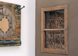 serex_header_1200_550px