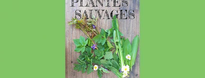 Plantes_sauvages d'âme sauvage