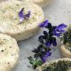 plantes sauvages et faux-mage