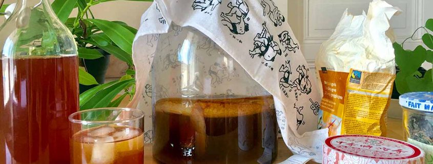 kombucha