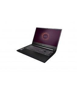 Portable why! Ryzen NH57ADS 15.6''