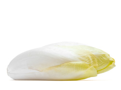 Endive
