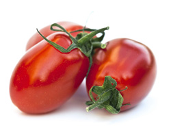 Tomate Datte