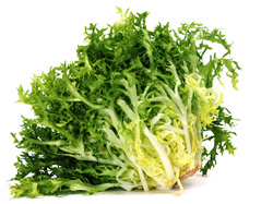 Chicorée frisée/scarole 