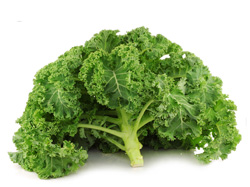 Federkohl / Grünkohl
