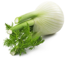 Fenouil 