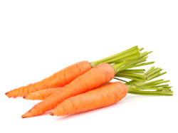 Carottes