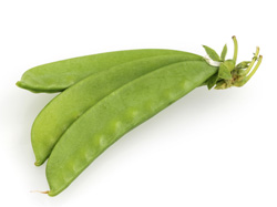 Pois mange-tout 
