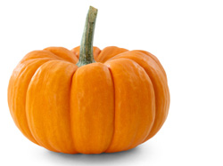 Courge 