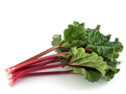 Rhubarbe