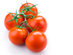 Tomate grappe