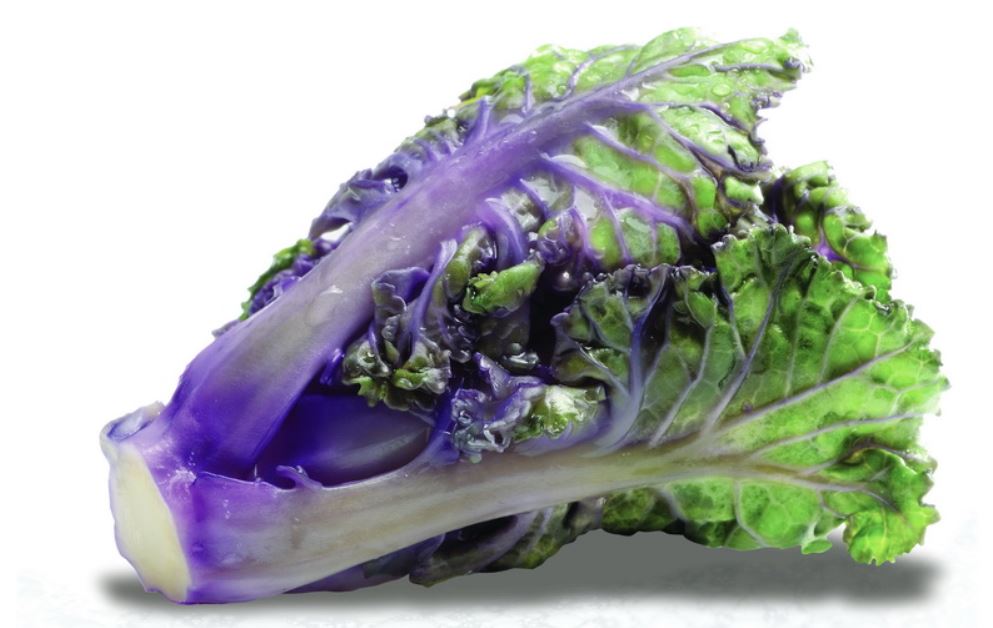Kalettes ®
