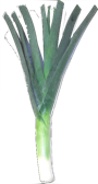 Poireua