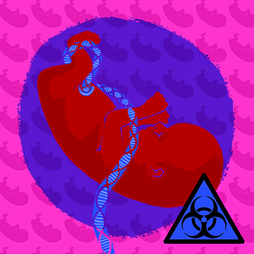embryo 360 1