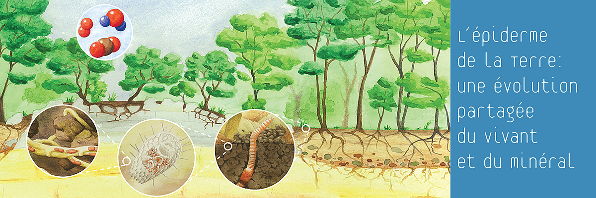 Image du MSc en biogéosciences programme intégrant la biologie et la géologie / sciences de la Terre